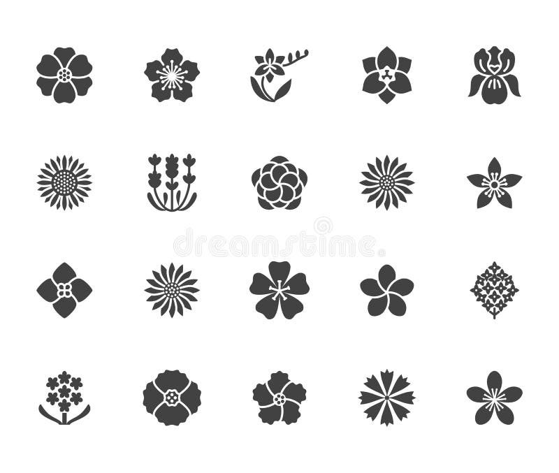 Flowers flat glyph icons. Beautiful garden plants - sunflower, poppy, cherry flower, lavender, gerbera, plumeria stock illustration Flowers flat glyph icons. Beautiful garden plants - sunflower, poppy, cherry flower, lavender, gerbera, plumeria stock illustration