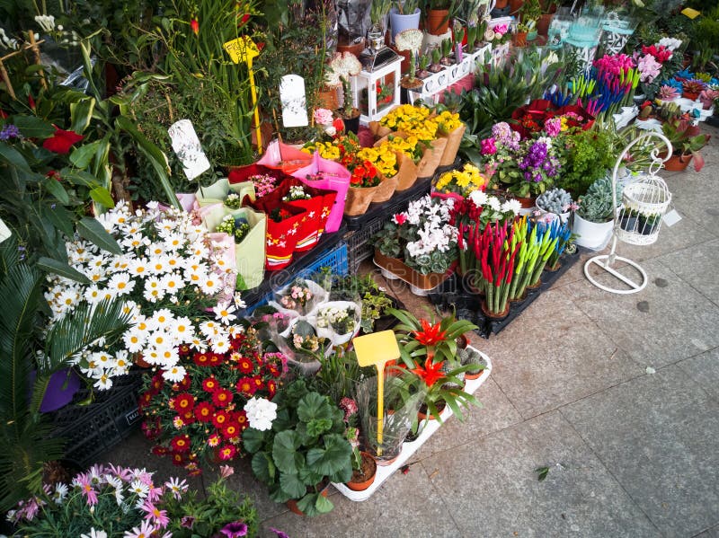 Bouquet of Colorful Roses and Other Different Flowers at the Entry To
