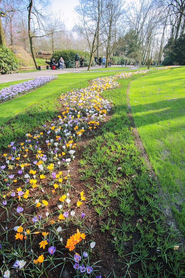 Flowers garden view stock photo. Image of nature, plant 68912616