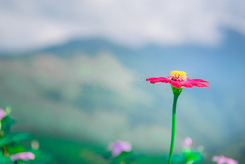 Blur Background Green Image Photo Free Trial Bigstock