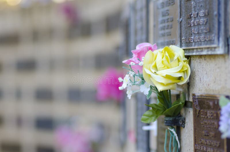 Roses and Graves stock image. Image of north, memorial 20796141