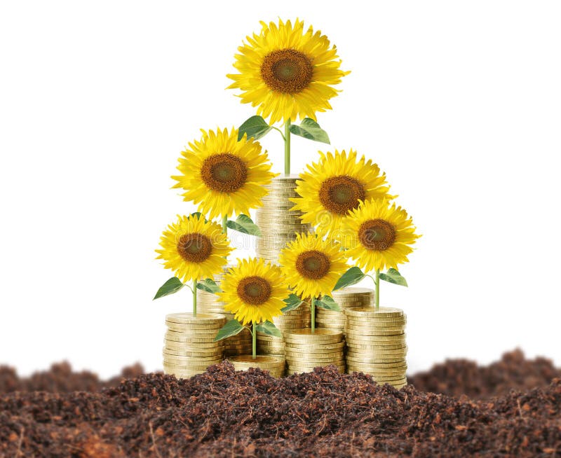 Flowers of money stock photo. Image of crisis, money 22091004