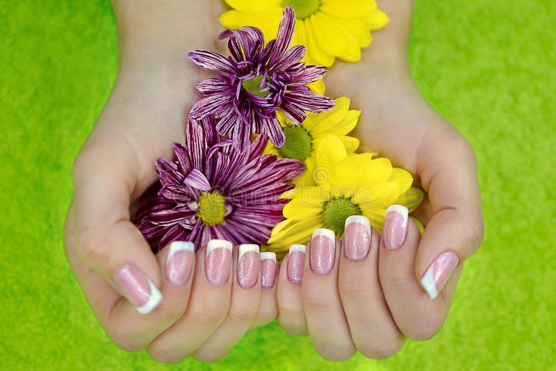 Flowers in hands stock photo. Image of skin, green, flower 23505084