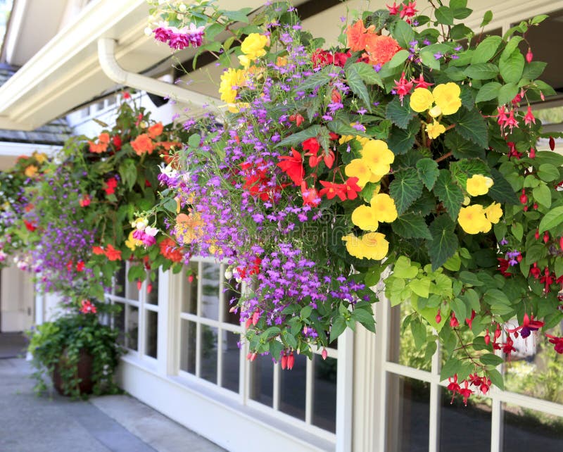Flowers in the Hanging Baskets with Windows. Stock Image Image of basket, beauty 26643007