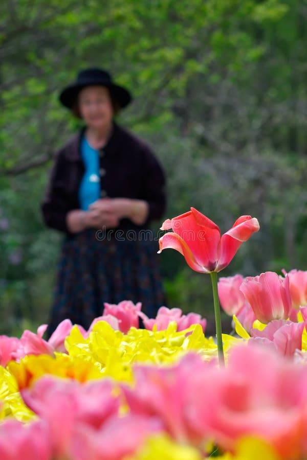 Flowers of his youth stock image. Image of love, dreamy 2084353