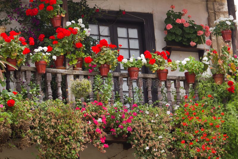 Flowers in a house