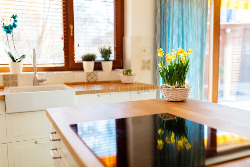 Modern Kitchen With Flowers On Counter Stock Image Image of bright