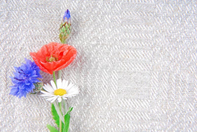 Flowers on linen cloth border frame