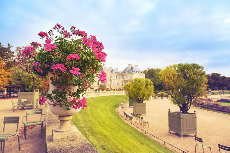 Flowers in Luxembourg Gardens, Paris, France