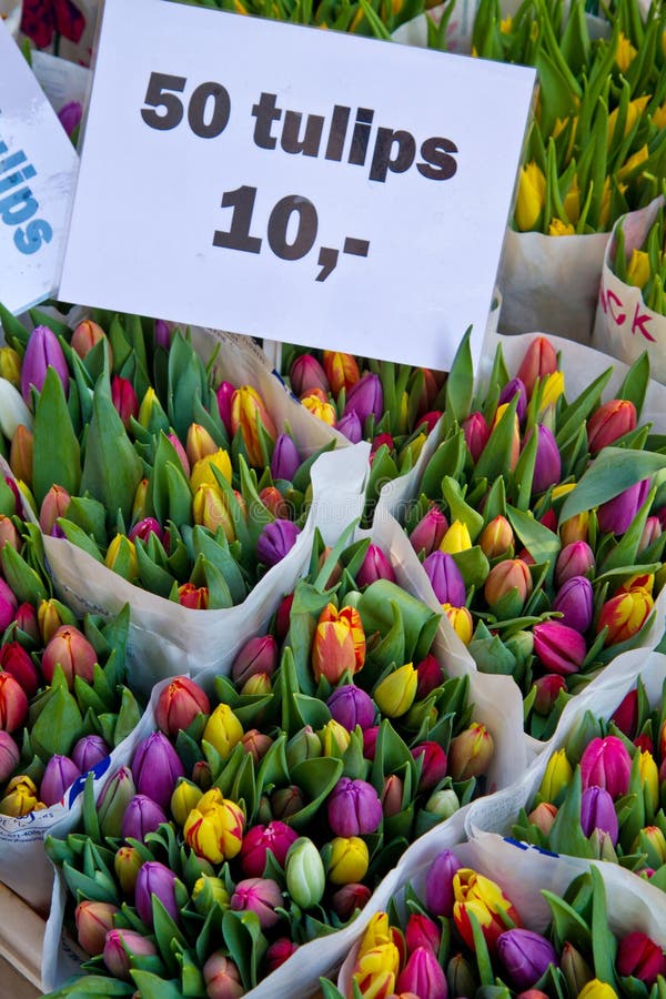 Flowers market stock image. Image of present, spring 19444223
