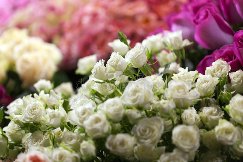 Flowers market stock image. Image of nature, garden, market 24034743