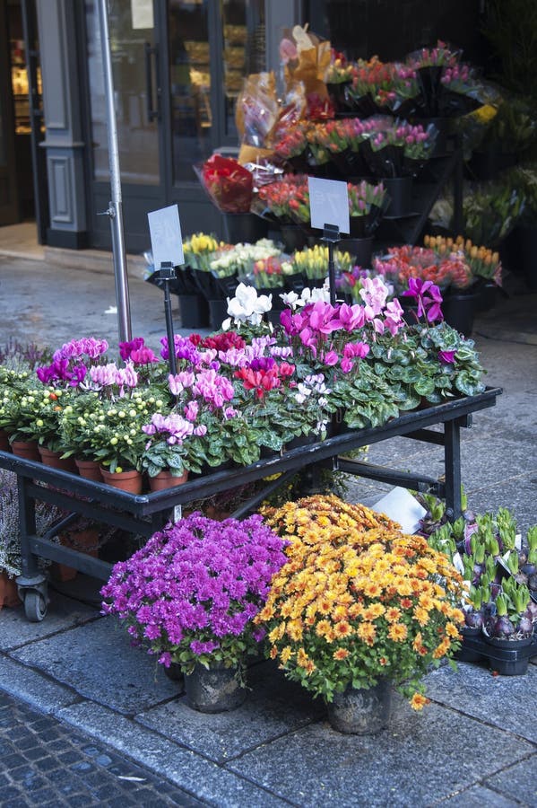 Flowers market stock photo. Image of cyclamen, flowers 27841978