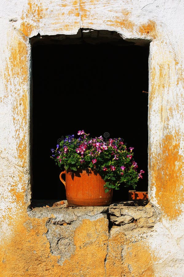 Flowers in old window