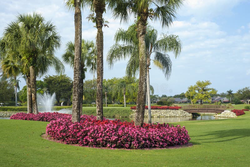 Flowers and palms surround a pond on a golf course in florida.