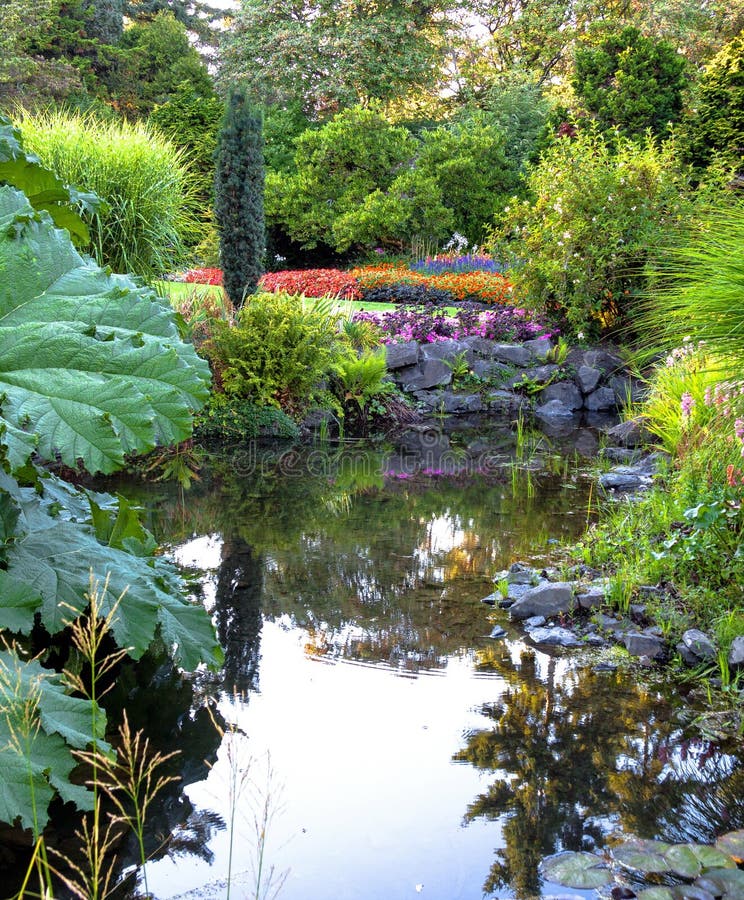 https://thumbs.dreamstime.com/b/flowers-plants-water-pool-stanley-park-vancouver-89217047.jpg