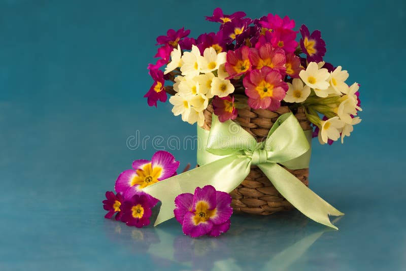 Flowers in the primroses in basket royalty free stock photo