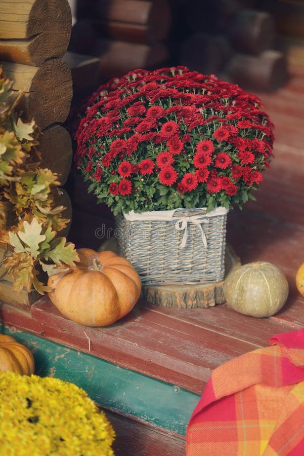 Flowers and pumpkin