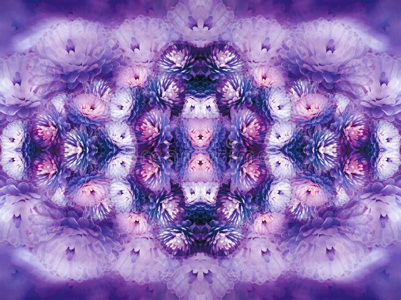 Flowers purple-pink-blue-white chrysanthemum on blurry background. Violet-colored vintage floral background. Flower composition.