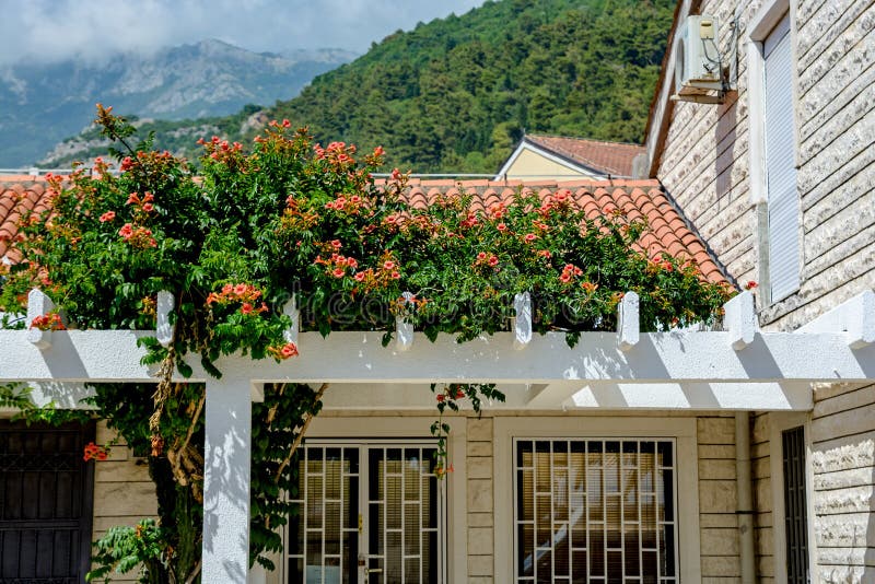 Flowers on the Roof of the House Stock Image Image of building, home
