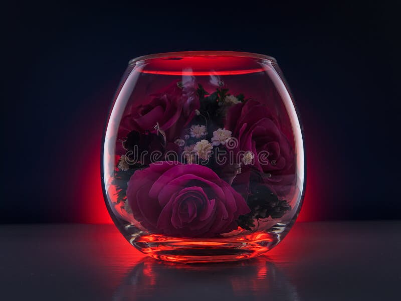 Flowers Roses in a vacuum stock image. Image of rose 115301067