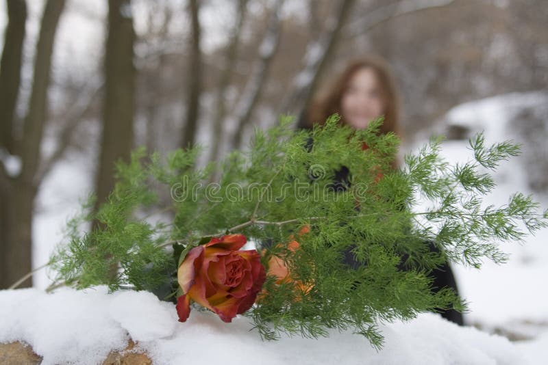 Flowers Of Sadness Picture. Image 3779669