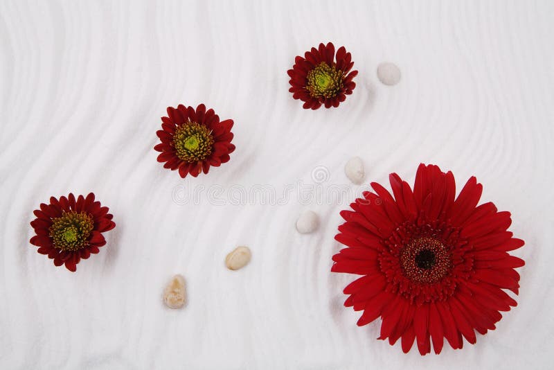 Flowers and sea salt