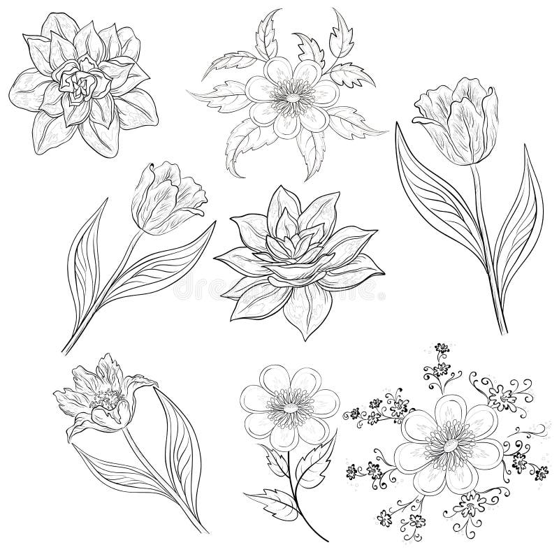 Download Flowers, set, outline stock vector. Illustration of decor ...