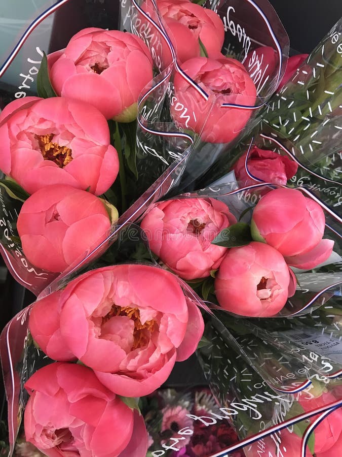 Flowers shop in Paris stock image. Image of french, blossom 92793821