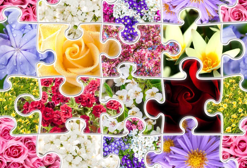 Flowers Spring Collection Seamless Puzzle stock image