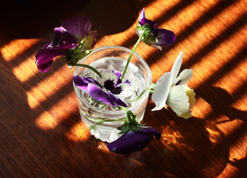 Flowers in sunlight stock photo. Image of bouquet, field 87805434