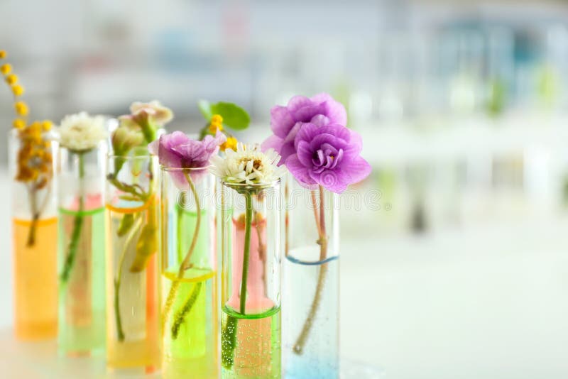 Flowers in test tubes stock image. Image of modification 17031941