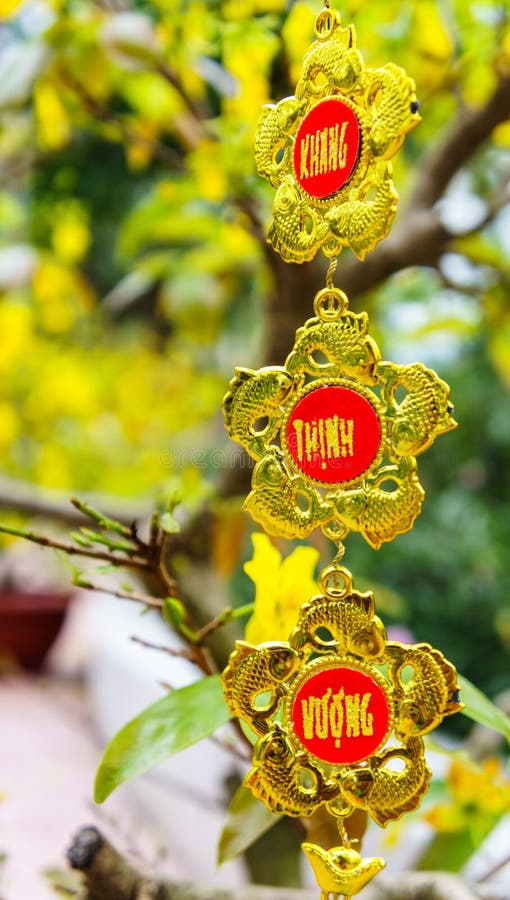 The Flowers of Traditional Vietnamese New Year Stock Photo Image of