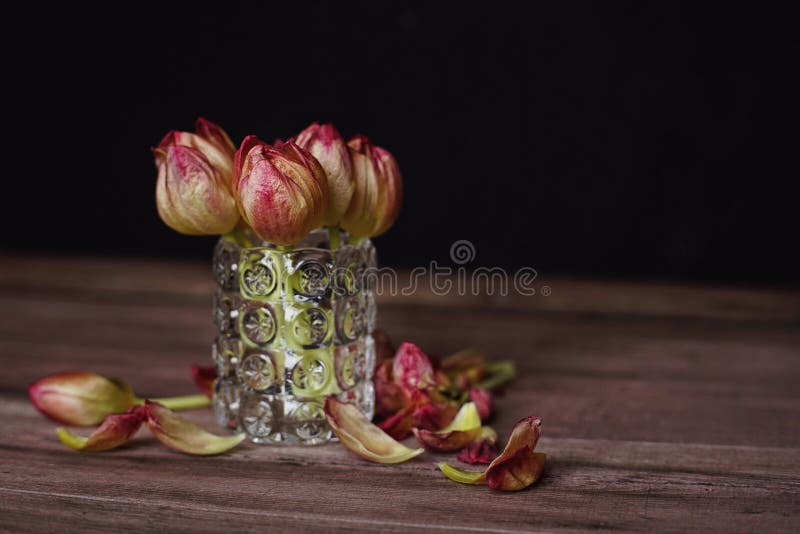 flowers tulips bouquet wood table close-up royalty free stock photos flowers tulips bouquet wood table close-up royalty free stock photos
