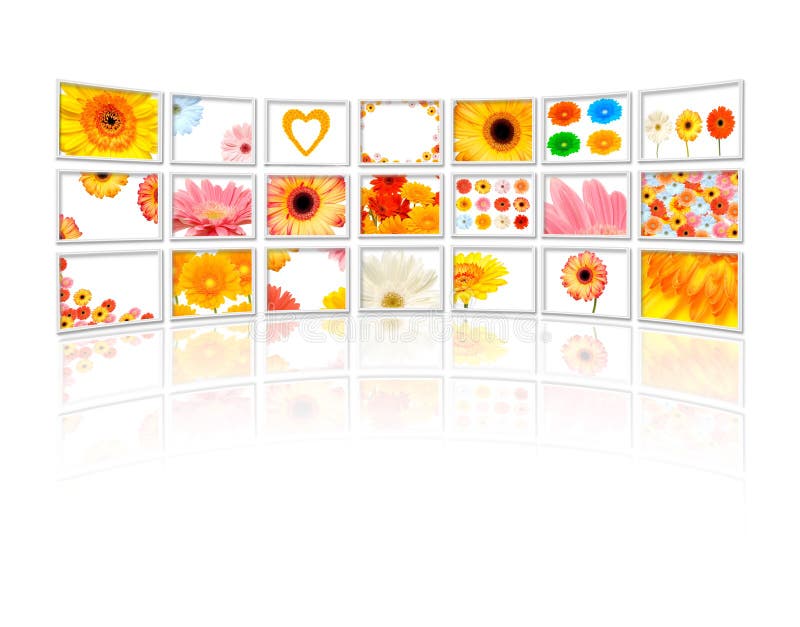 Flowers on tv stock image. Image of modern, gadget, entertainment 8036389