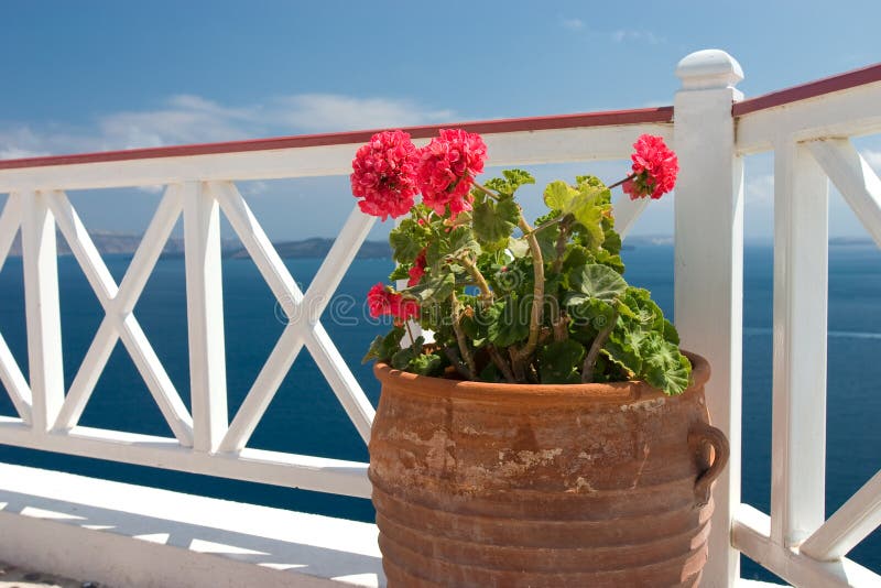 balcony blooms... Balcony, Flower Arrangements, Bloom, Table