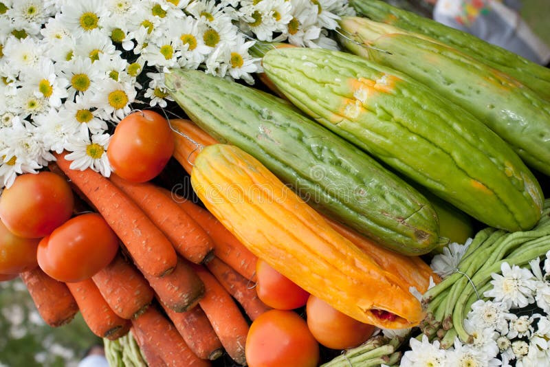 Flowers and Vegetables stock photo. Image of decorations 18946332