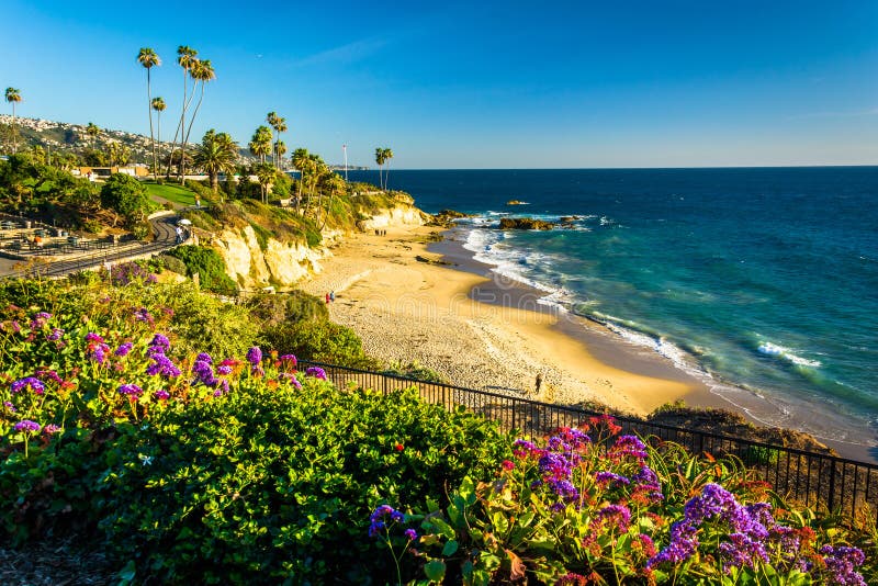 Pacific Ocean Flowers Stock Photo Image Of Green Nature 7587914