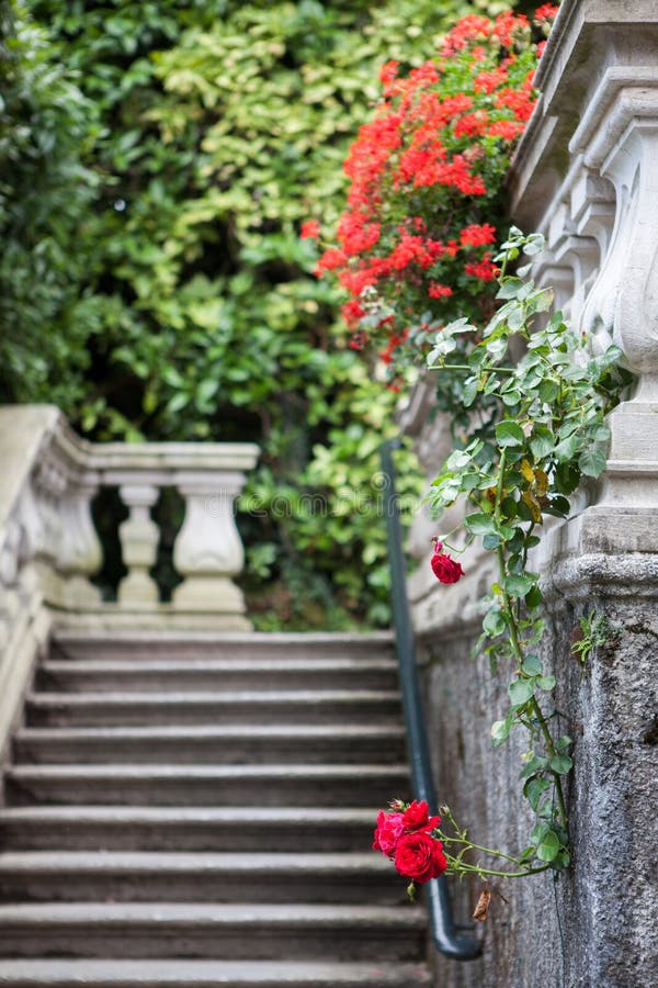 Flowers of Villa Carlotta on Lake Como in Italy. Pillar column garden stock images, royalty-free photos and pictures