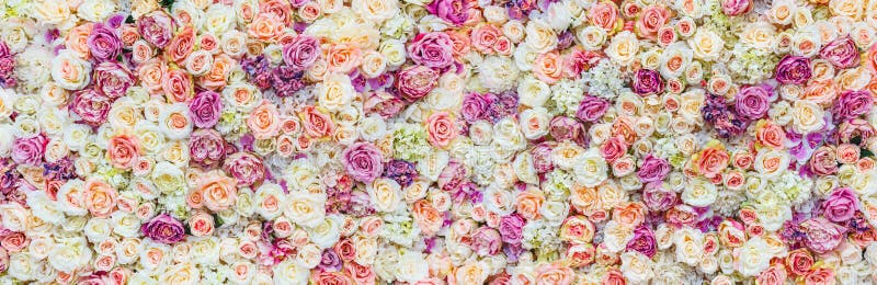 Flowers wall background with amazing red and white roses, Wedding decoration, hand made. Toning royalty free stock photography