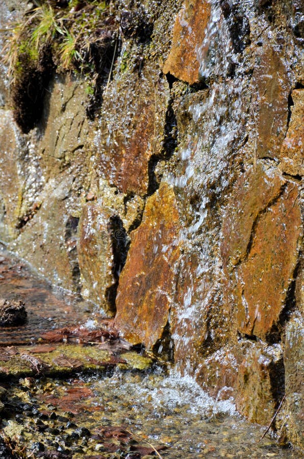 Flowers and water in spring royalty free stock photos