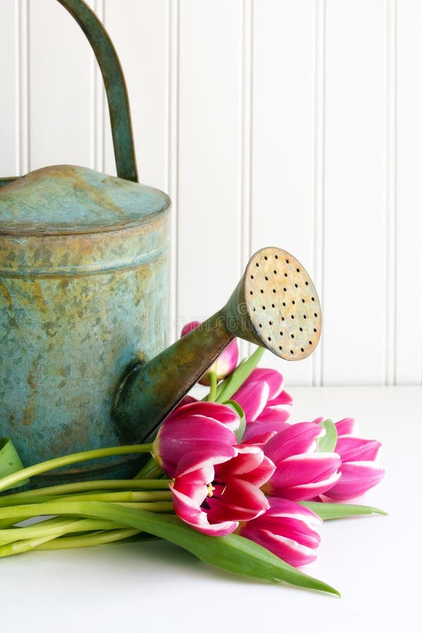 Flowers with watering can