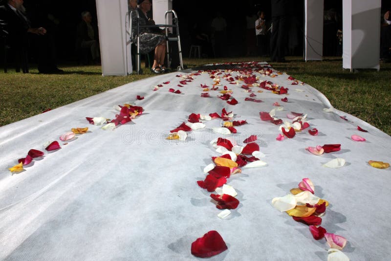 Flowers on Wedding Path stock image