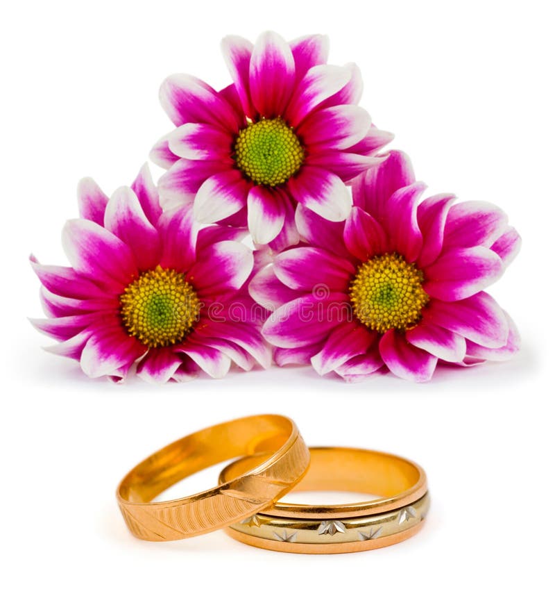 Flowers and wedding rings stock photo. Image of celebration 27662102