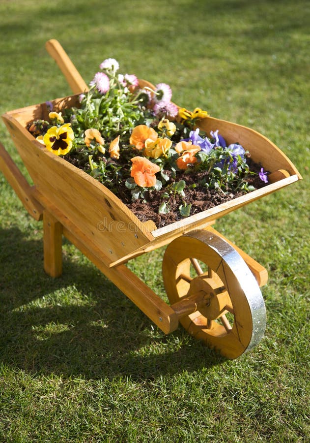 Flowers in wheelbarrow stock image. Image of floral, colorful 8856551