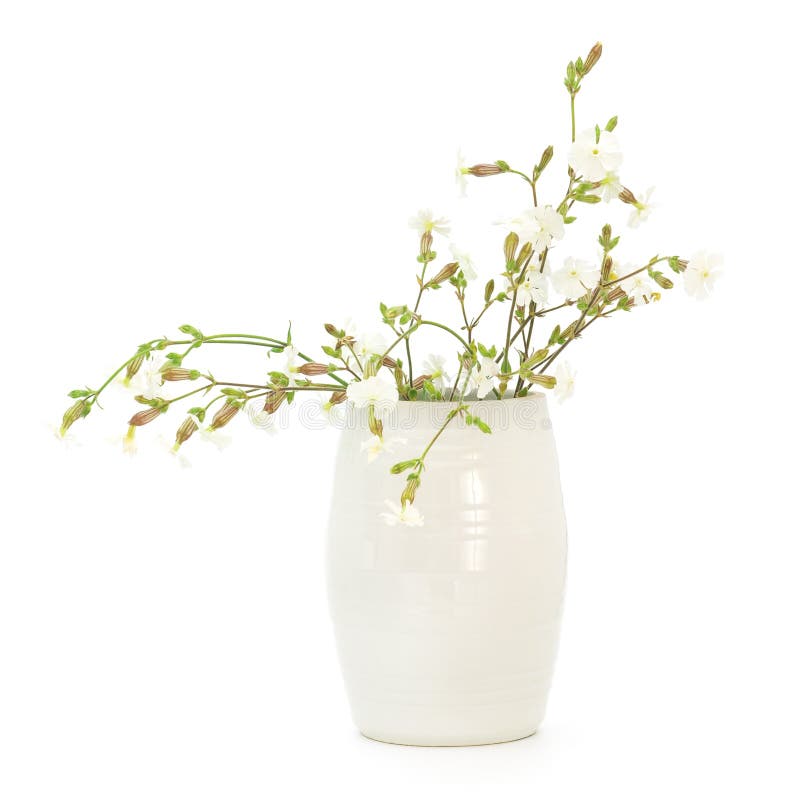 Flowers in white vase stock image. Image of studio, colors 31578347