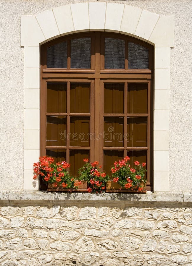 Flowers in the window