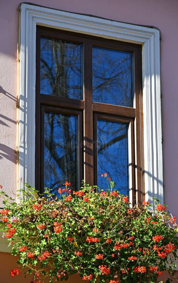 Flowers in the window of a house royalty free stock image