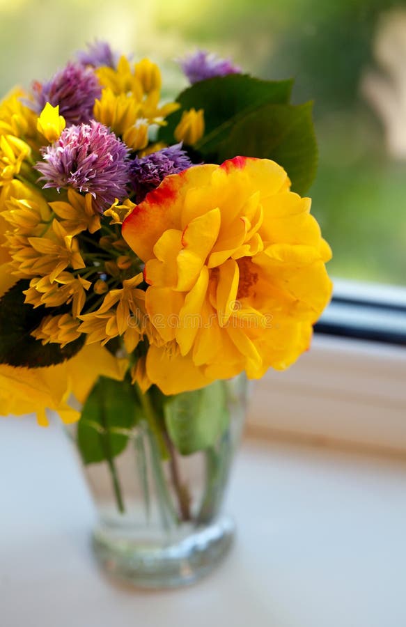 Flowers in Window Box in Wood Shingle Roof Stock Image Image of