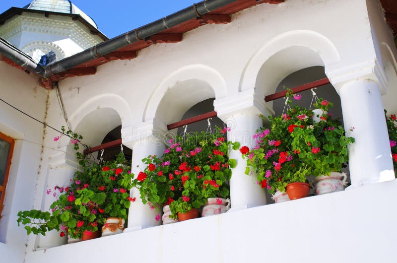 Flowers in the windows stock image. Image of colorful 66699861