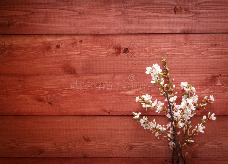 57,889 Flowers Wood Texture Background Stock Photos Free & Royalty